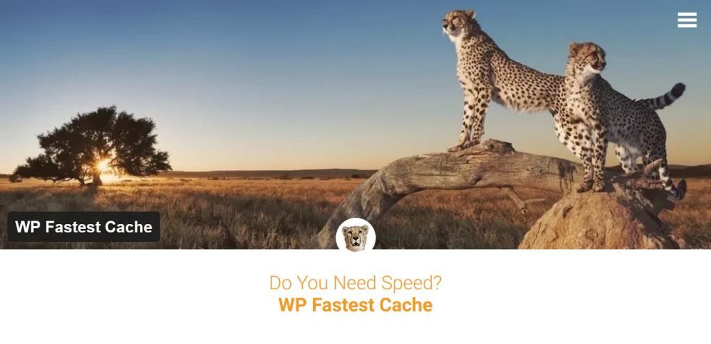plugin-wp-fastest-cache